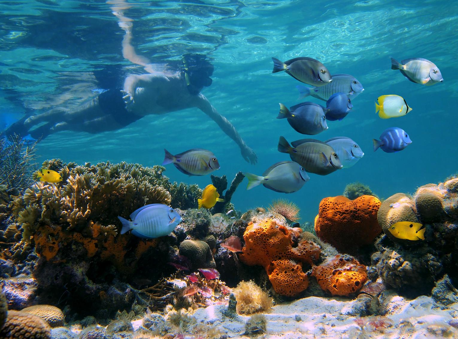 Les mers magnifiques de Jordanie